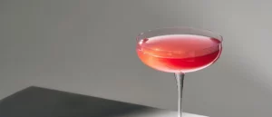 Cocktails à Pau - THE BOTTLER